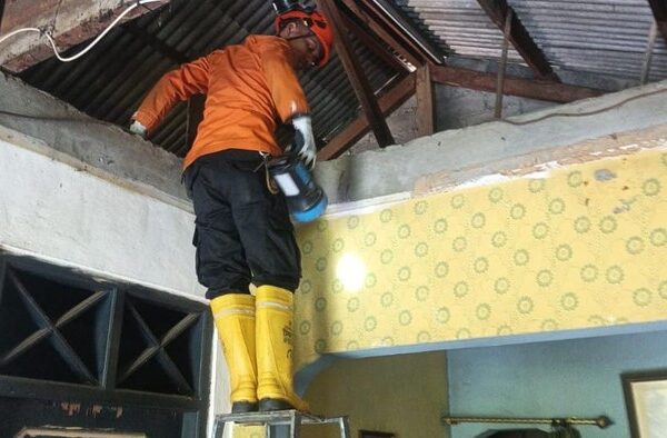 Hendak Mandi, Warga Bogor Malah Lihat Ular Sanca di Plafon